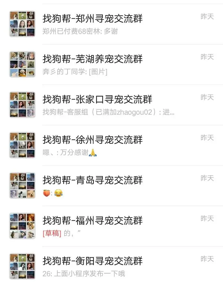 #大庆寻猫# 萨尔图区万峰大市场7号楼7门附近走失一只狸花猫,如有好心人看到或者收留请联系主人或本平台