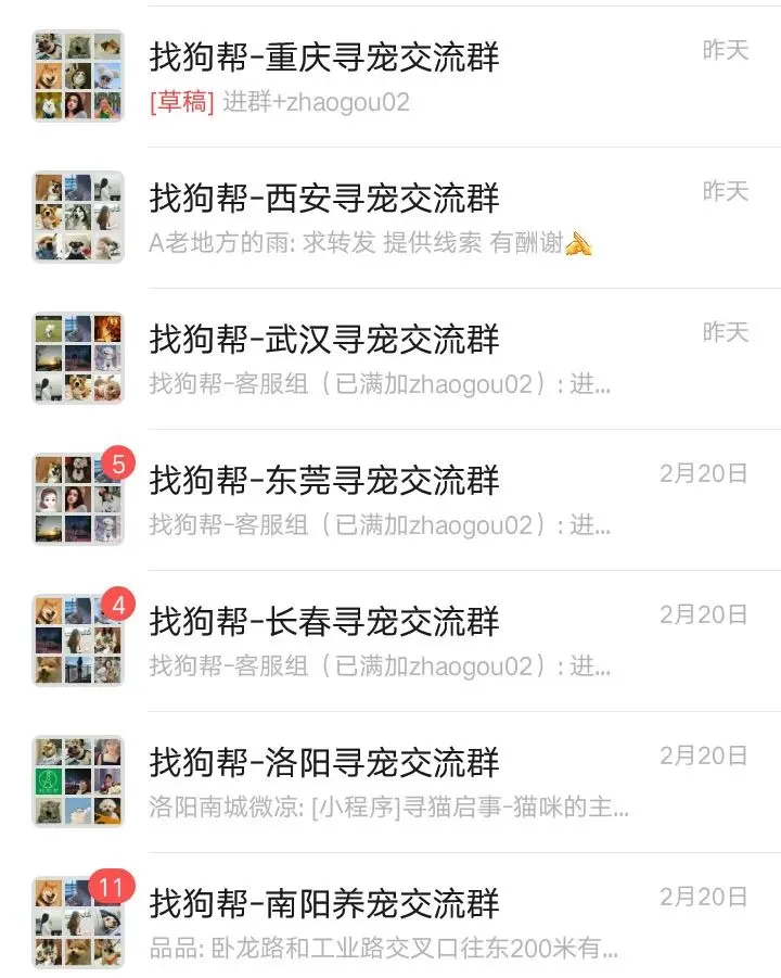 #大庆寻猫# 萨尔图区万峰大市场7号楼7门附近走失一只狸花猫,如有好心人看到或者收留请联系主人或本平台