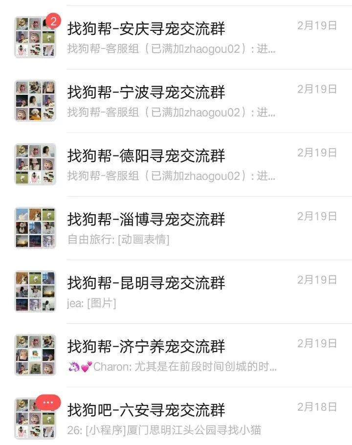 #大庆寻猫# 萨尔图区万峰大市场7号楼7门附近走失一只狸花猫,如有好心人看到或者收留请联系主人或本平台