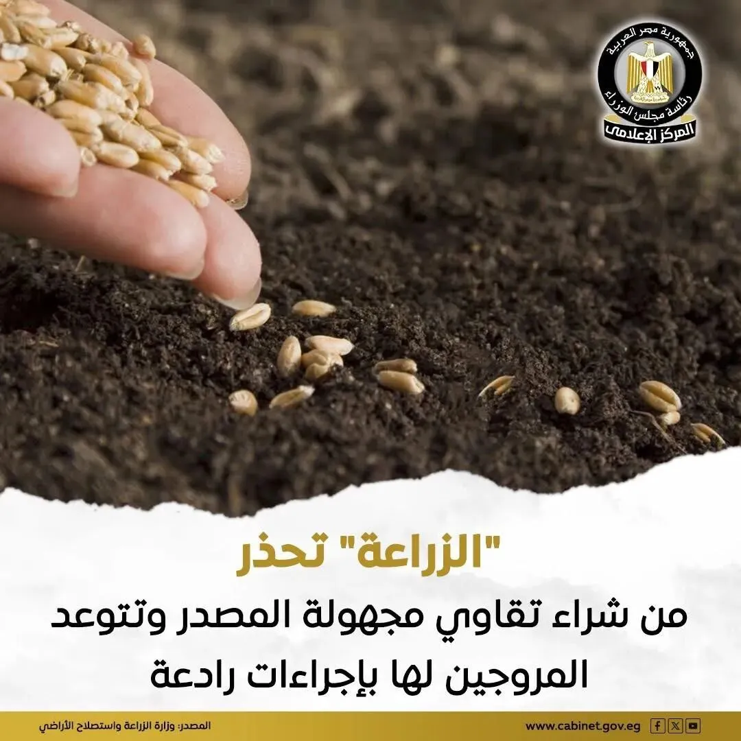 【埃及严打】严打“假种子”网络营销埃及强化农业监管保障粮食安全