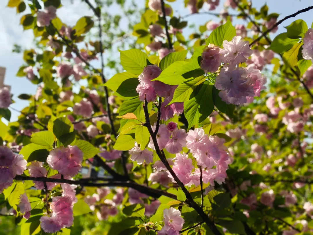 【营销系列07】收官篇:企业持续增长的底层逻辑:从安索夫矩阵到MarTech,打造增长引擎