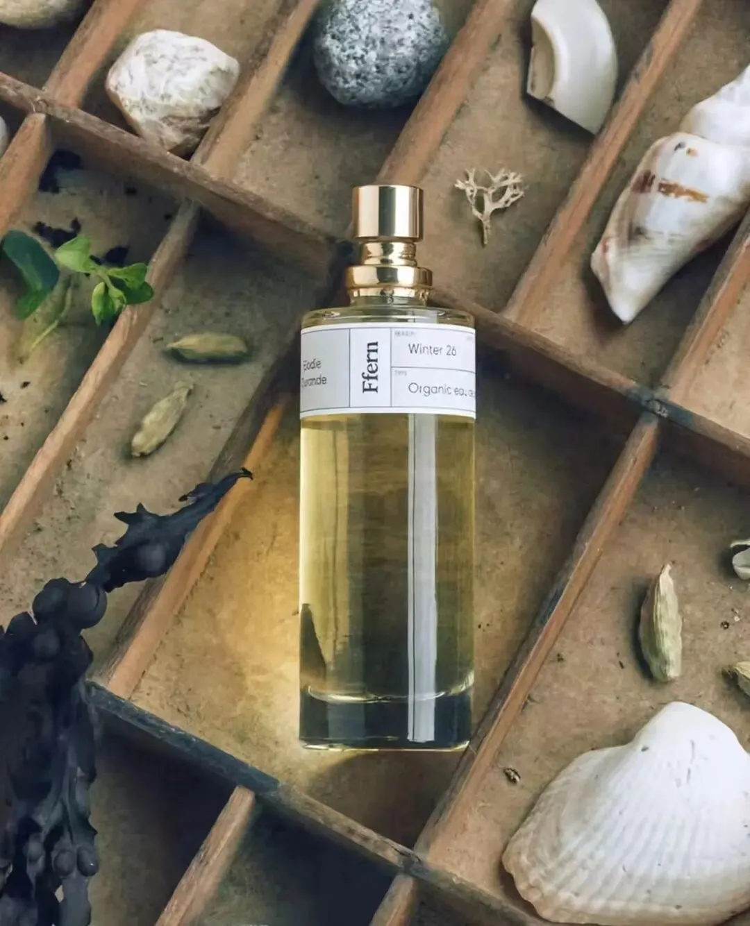 Ffern:当营销成为一种艺术,品牌即世界