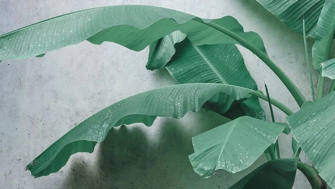 浙工商 AI + 营销双学士学位学姐|与 CPA 同行,在复合型赛道上稳步发光