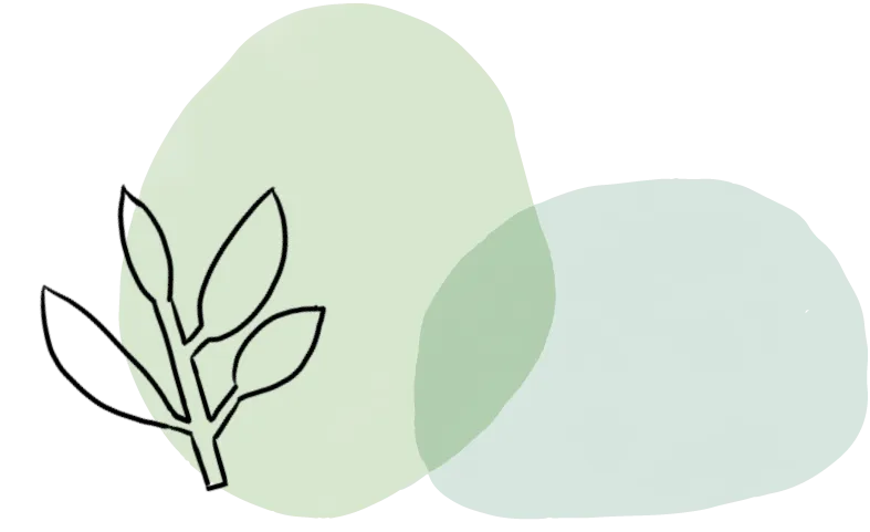 浙工商 AI + 营销双学士学位学姐|与 CPA 同行,在复合型赛道上稳步发光