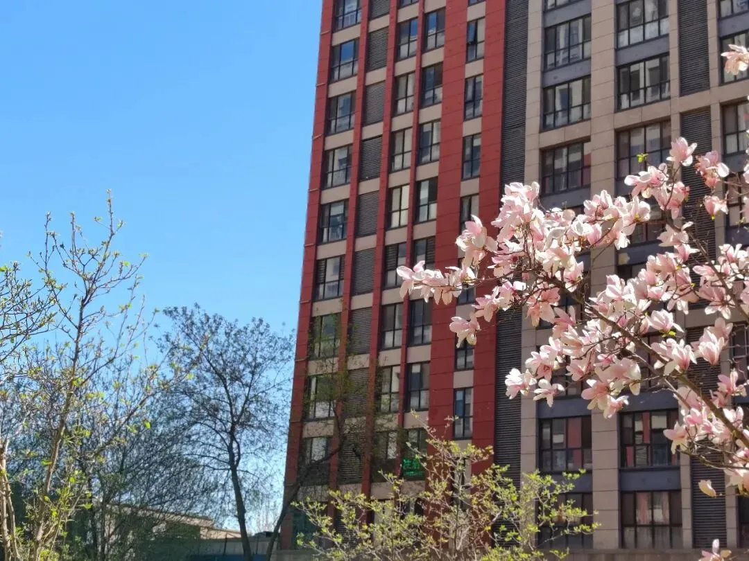 拿底薪的销售,不是退步,是进化