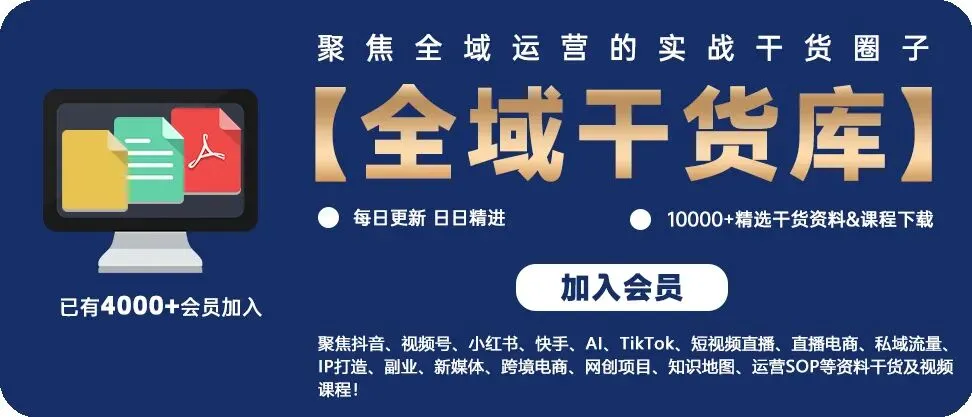 IP内容在品牌营销中的转化效果路径:基于消费者行为与品牌策略的机制分析.pdf