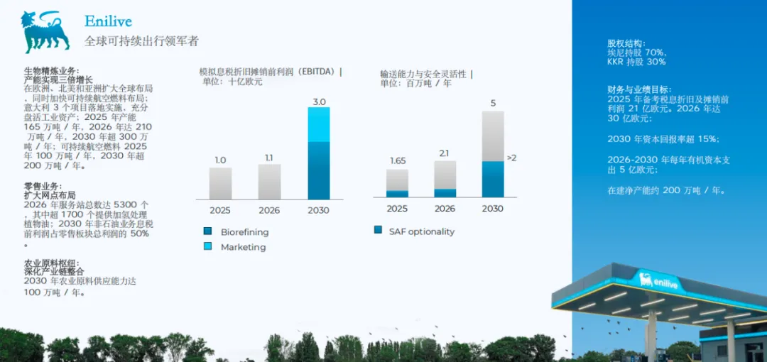 埃尼公司2026年资本市场更新