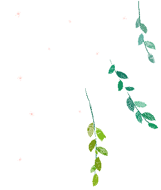 好消息!武汉收藏品市场「纸制品周末专场」来了!