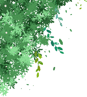 好消息!武汉收藏品市场「纸制品周末专场」来了!