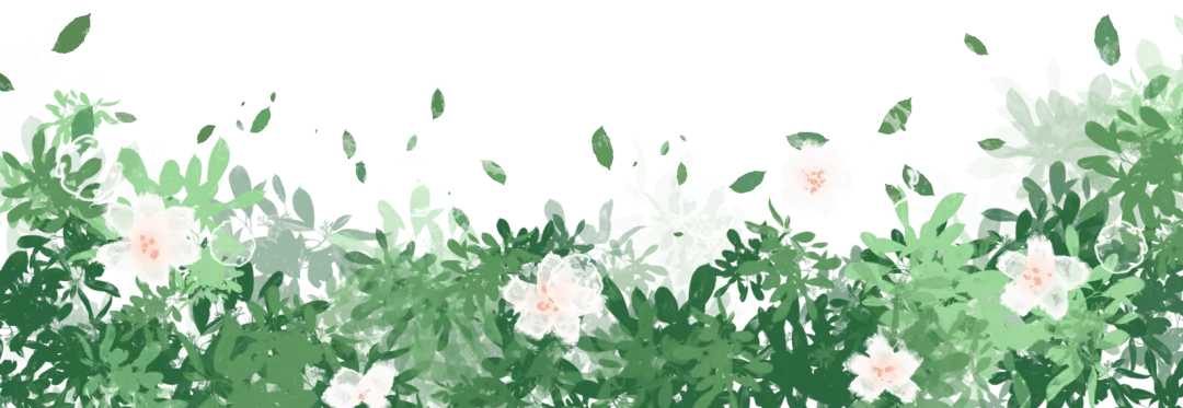 好消息!武汉收藏品市场「纸制品周末专场」来了!