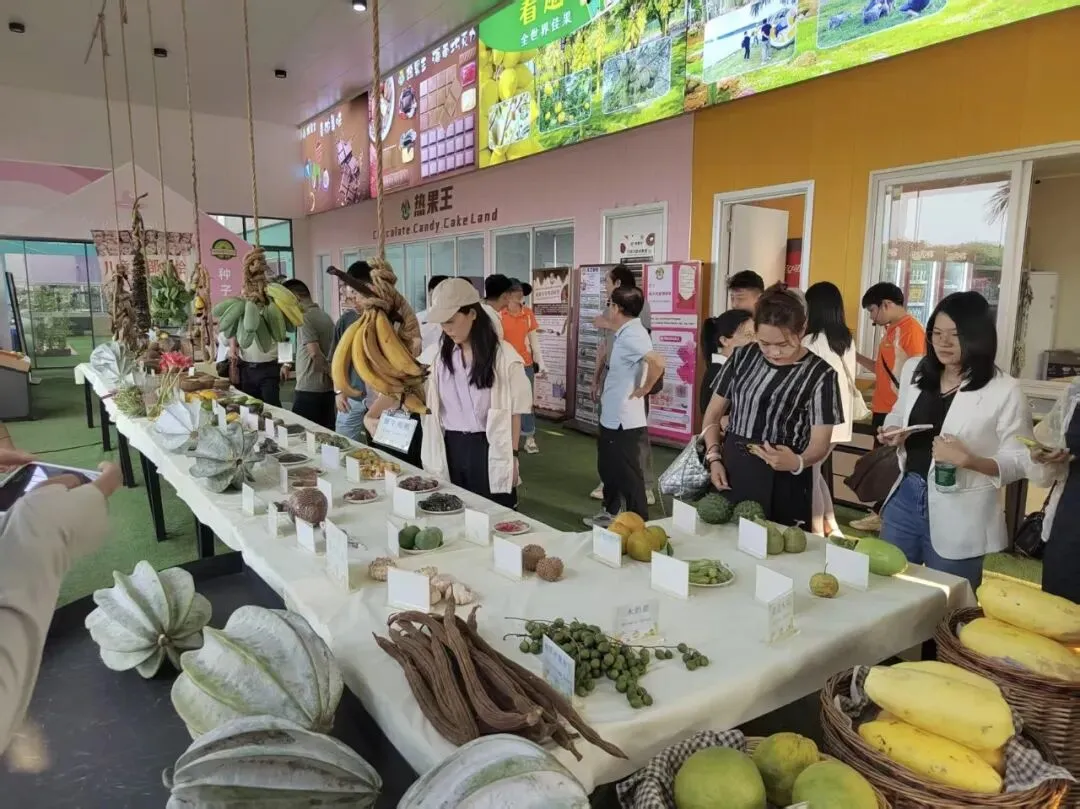 校企动态 | 全省旅游景区营销交流会在世界热带水果之窗召开