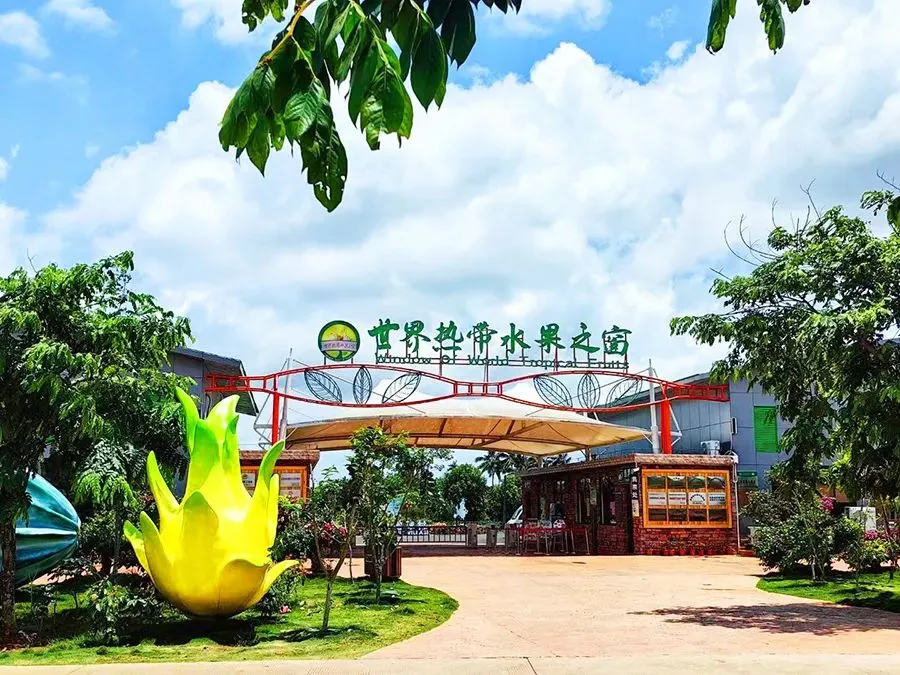 校企动态 | 全省旅游景区营销交流会在世界热带水果之窗召开