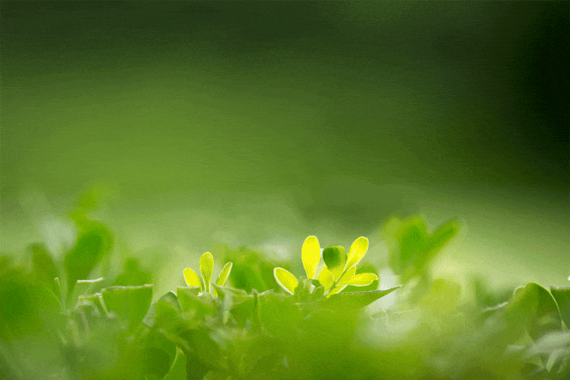 2026年4月份营销日历(重要营销节点:清明、谷雨、世界地球日、预热五一)