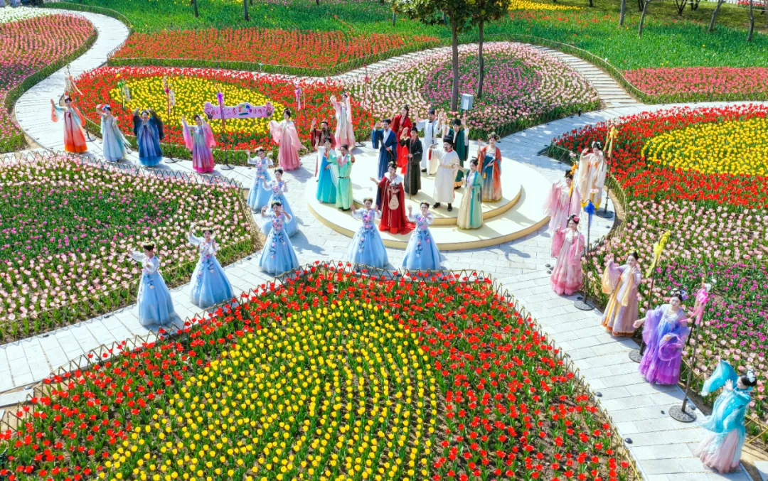 清明假期中牟文旅市场“花”样频出 春日经济活力迸发