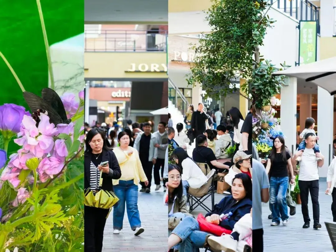 清明假期中牟文旅市场“花”样频出 春日经济活力迸发