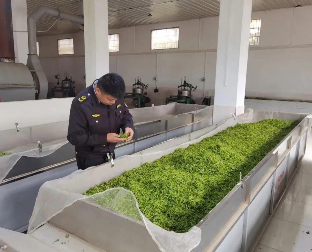 市场监管一周工作动态(3月30日-4月5日)