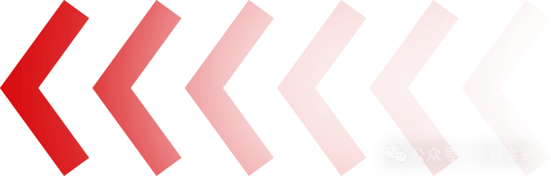 【我为群众办实事】种子市场大检查!金乡县严查坑农害农行为