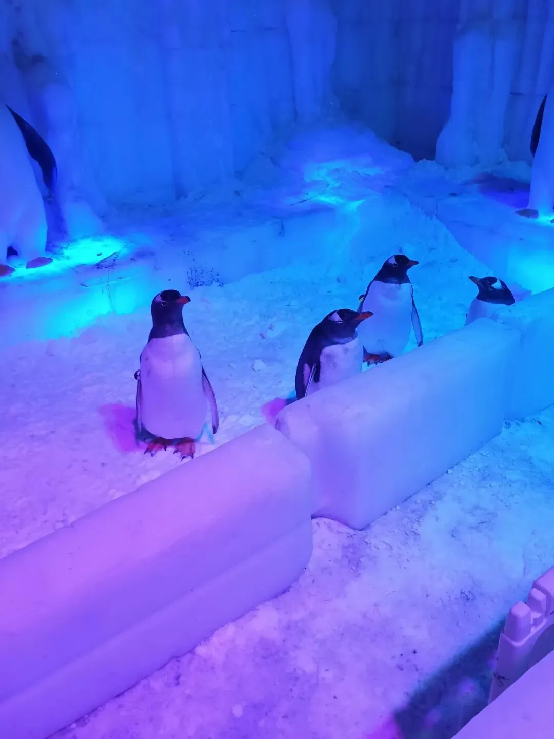 职场营销人如何持续提升自己竞争力?2026年系统提升路径与方法指南