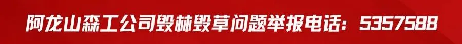 阿龙山森工公司关于开展全员营销拓展桦树汁销售市场的公告