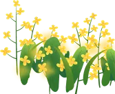 省政协专题调研|做好农产品“营销+”后半篇文章,推进农业高质量发展