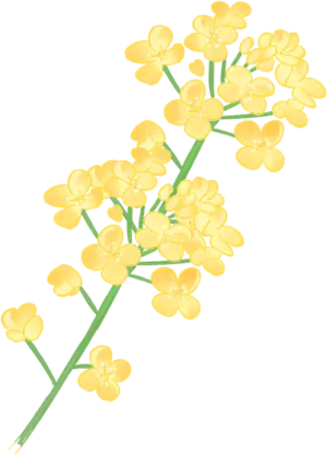 省政协专题调研|做好农产品“营销+”后半篇文章,推进农业高质量发展