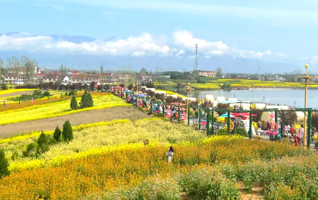 省政协专题调研|做好农产品“营销+”后半篇文章,推进农业高质量发展