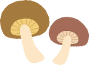 省政协专题调研|做好农产品“营销+”后半篇文章,推进农业高质量发展