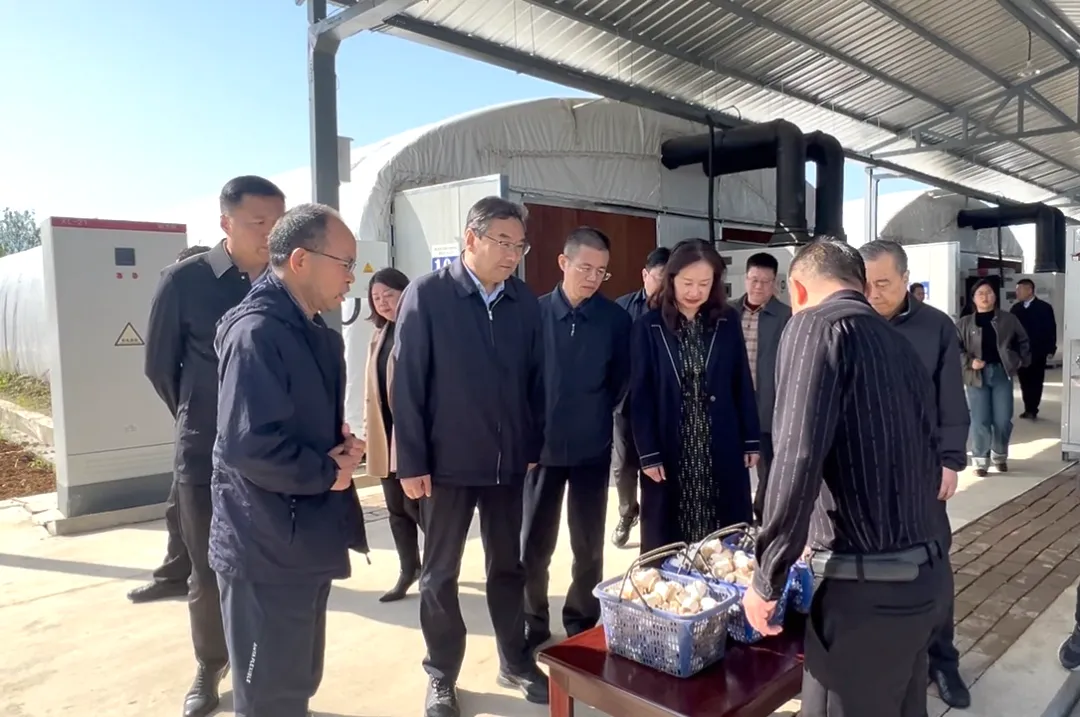 省政协专题调研|做好农产品“营销+”后半篇文章,推进农业高质量发展