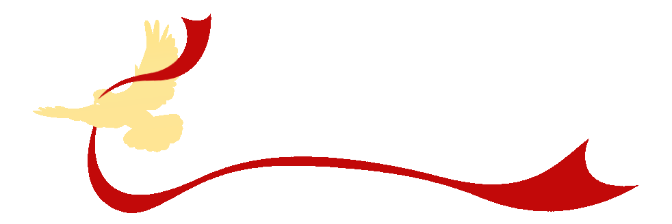 祭先烈英魂 传红色基因—哈药营销开展清明祭扫主题党日活动