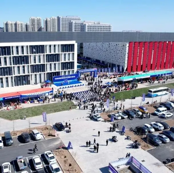 以社媒营销破局!河间汽配企业共探国际化新路径