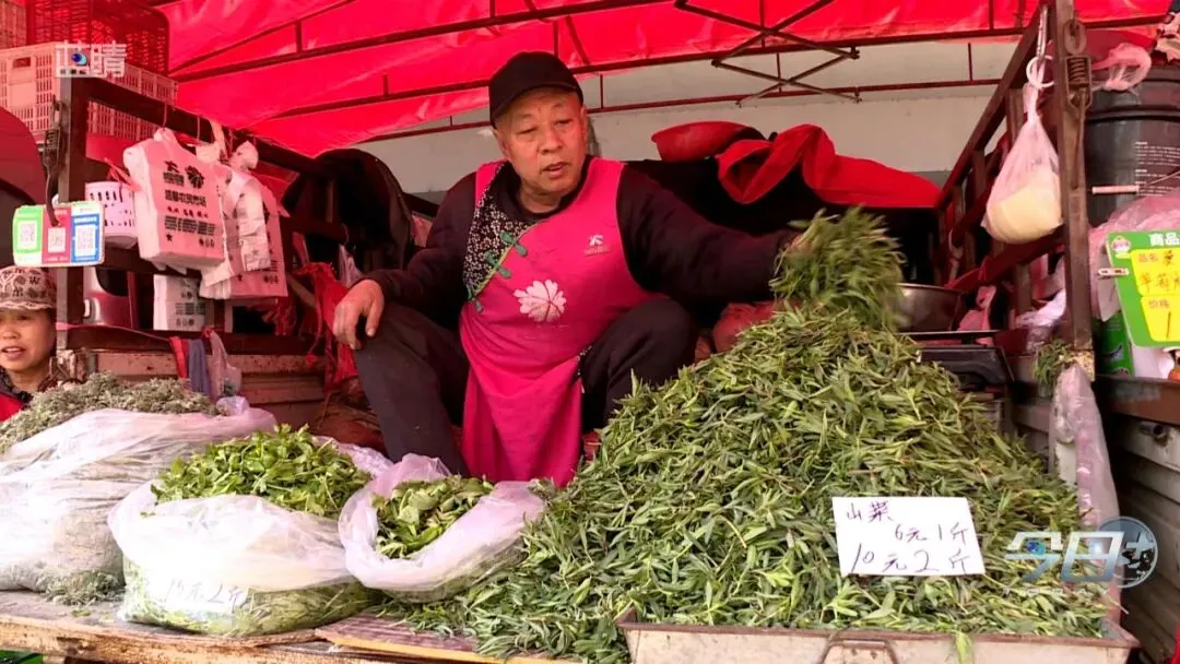 大量上市中!青岛市场上好多人在买!专家:千万注意
