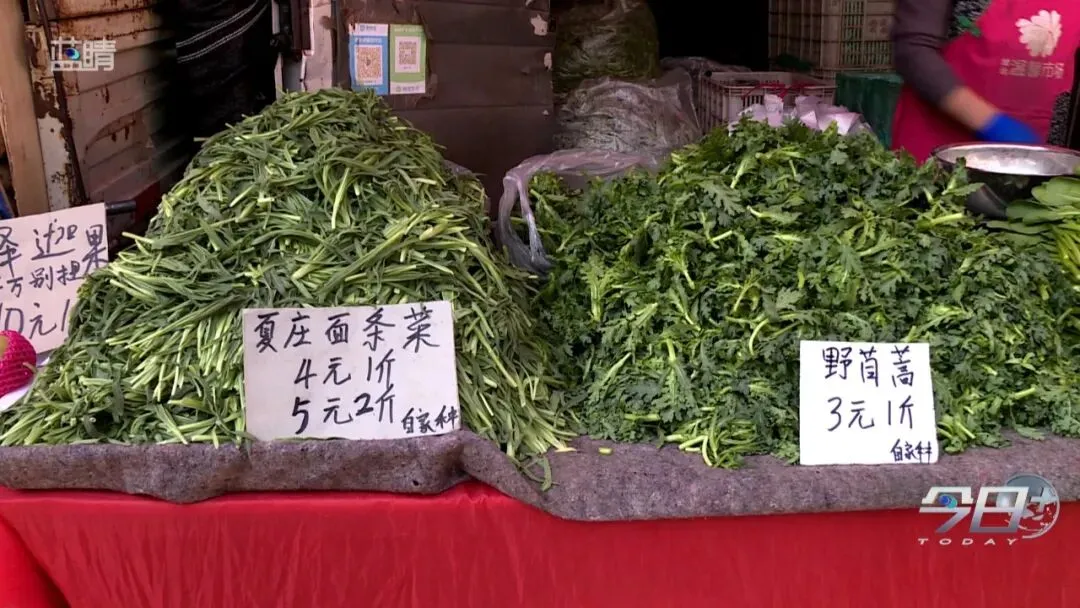 大量上市中!青岛市场上好多人在买!专家:千万注意