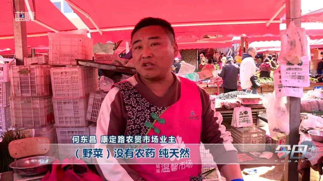 大量上市中!青岛市场上好多人在买!专家:千万注意