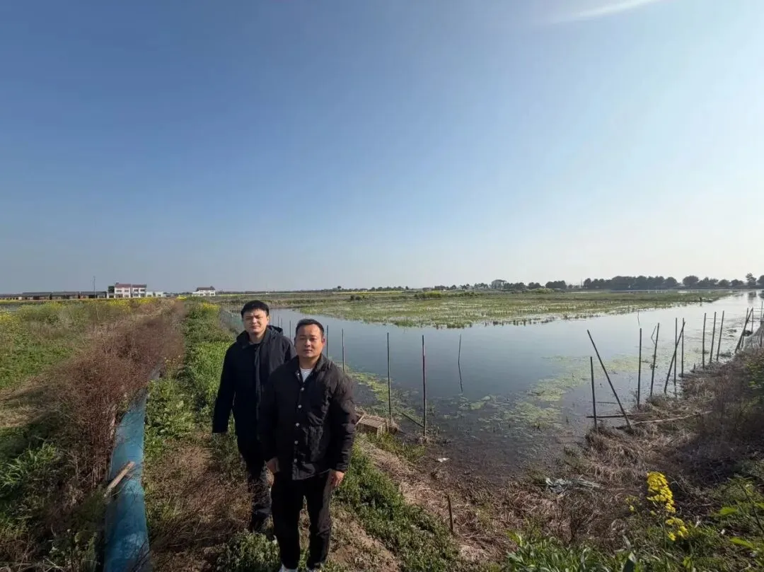 【产业链式营销】 江陵农商银行白马支行: 春回塘口虾苗动 链式金融活水来