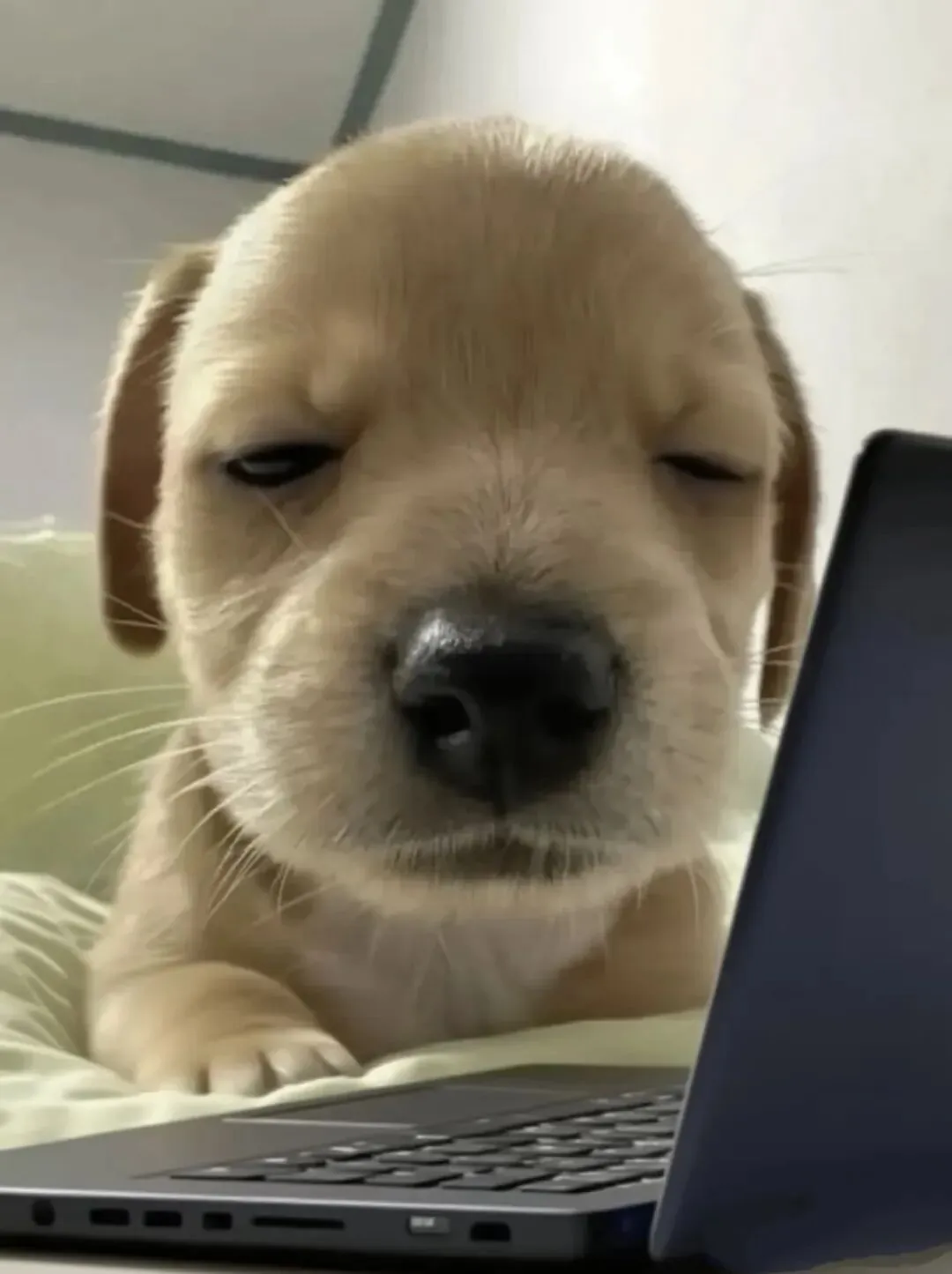 终于理解职场劝退类营销号