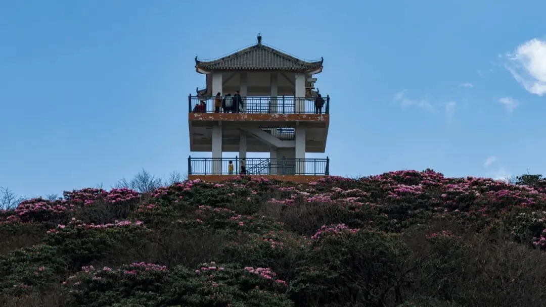 假期收官!广元文旅市场全域火爆,跻身全省前列!