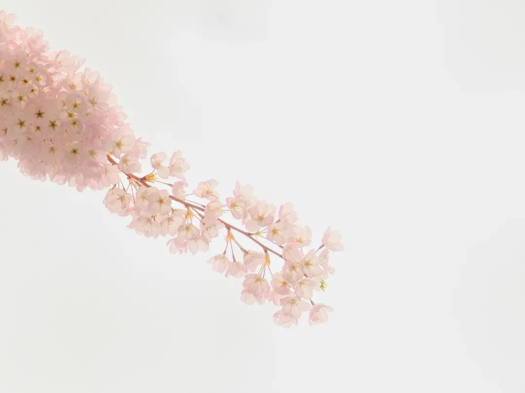 一周市场回顾(W14):A股及海外市场呈现分化