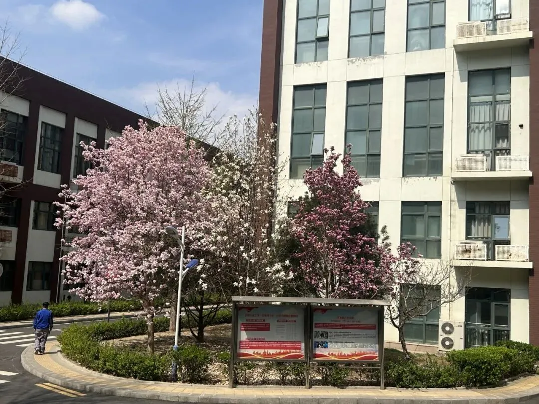 校园春正好 芳华启新程丨新媒体营销社团开展校园摄影活动