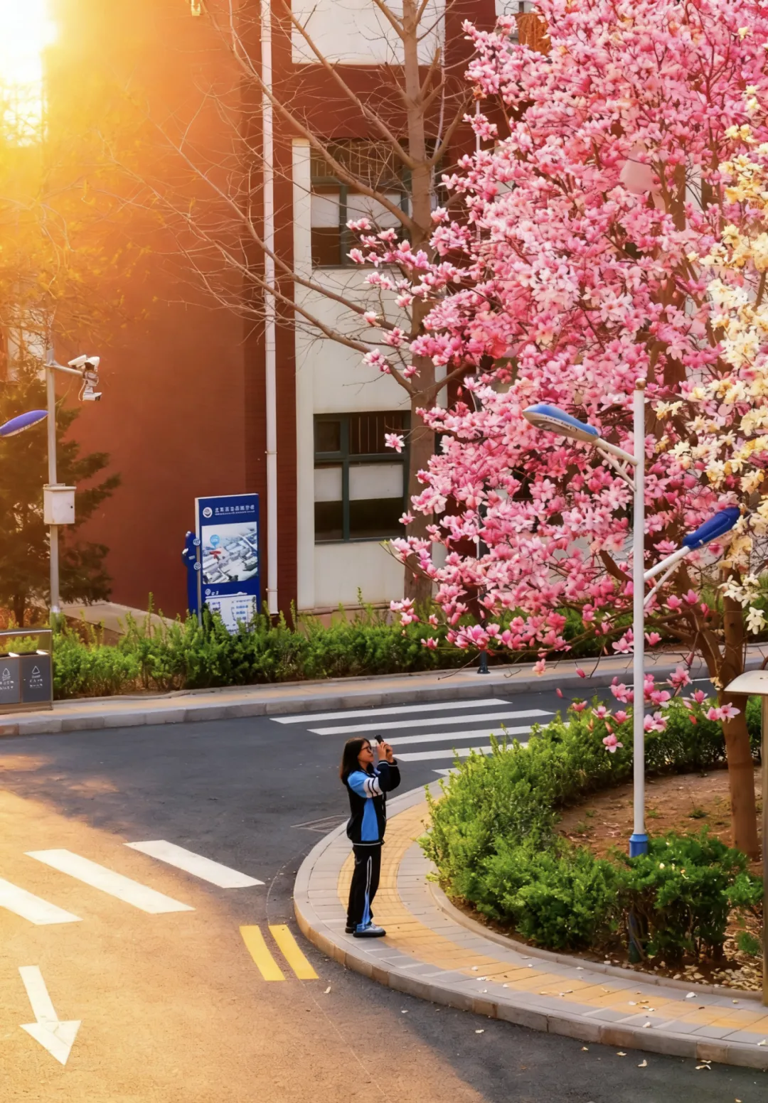 校园春正好 芳华启新程丨新媒体营销社团开展校园摄影活动