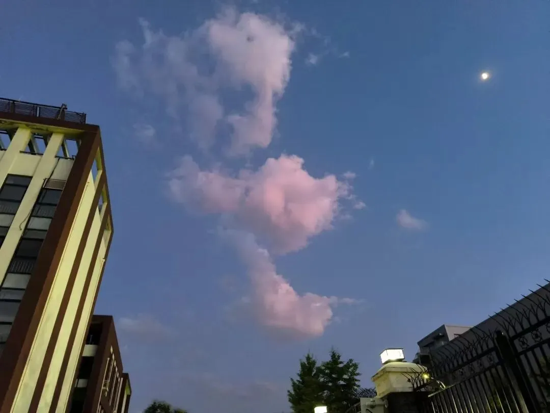 校园春正好 芳华启新程丨新媒体营销社团开展校园摄影活动