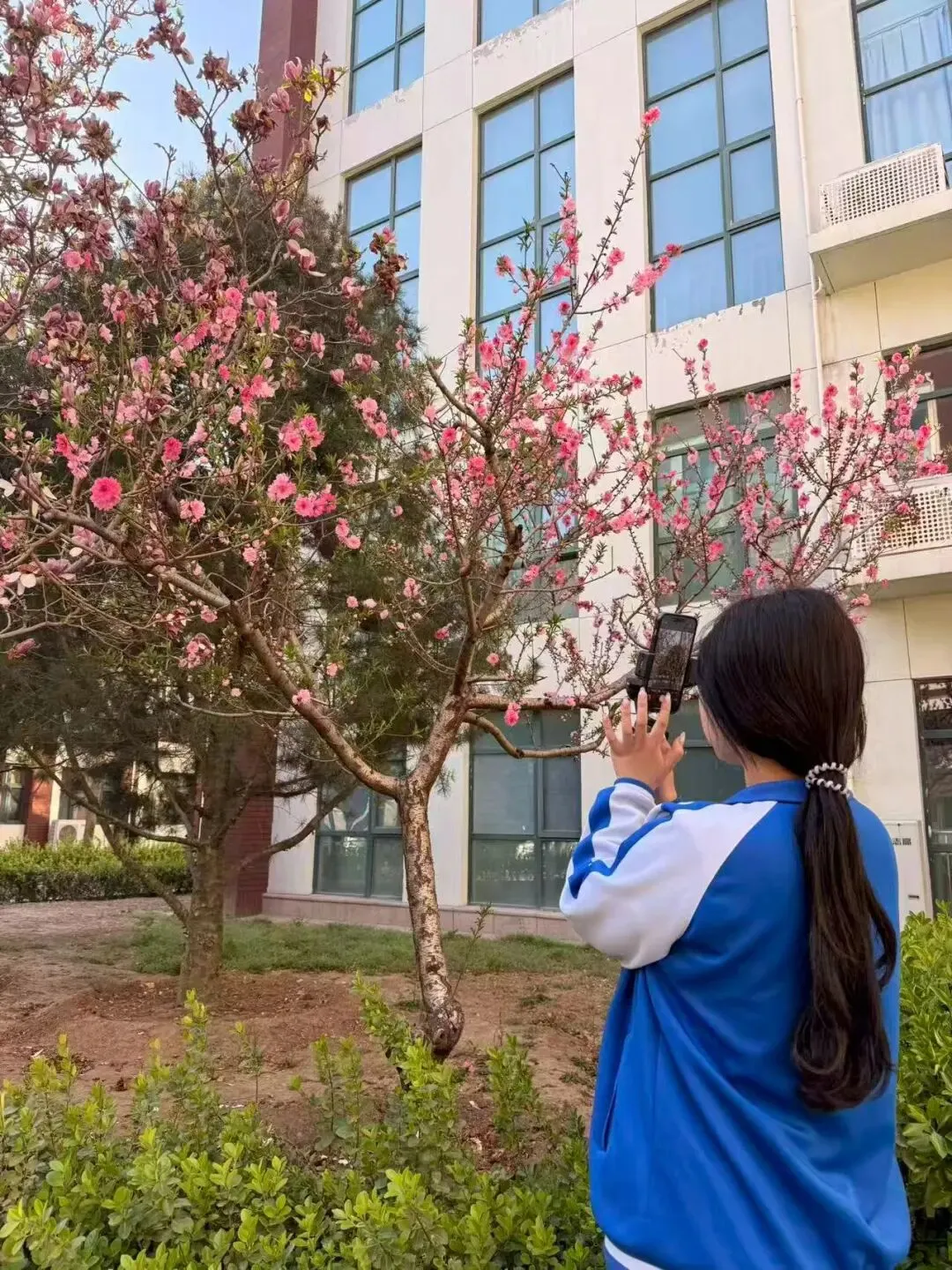 校园春正好 芳华启新程丨新媒体营销社团开展校园摄影活动