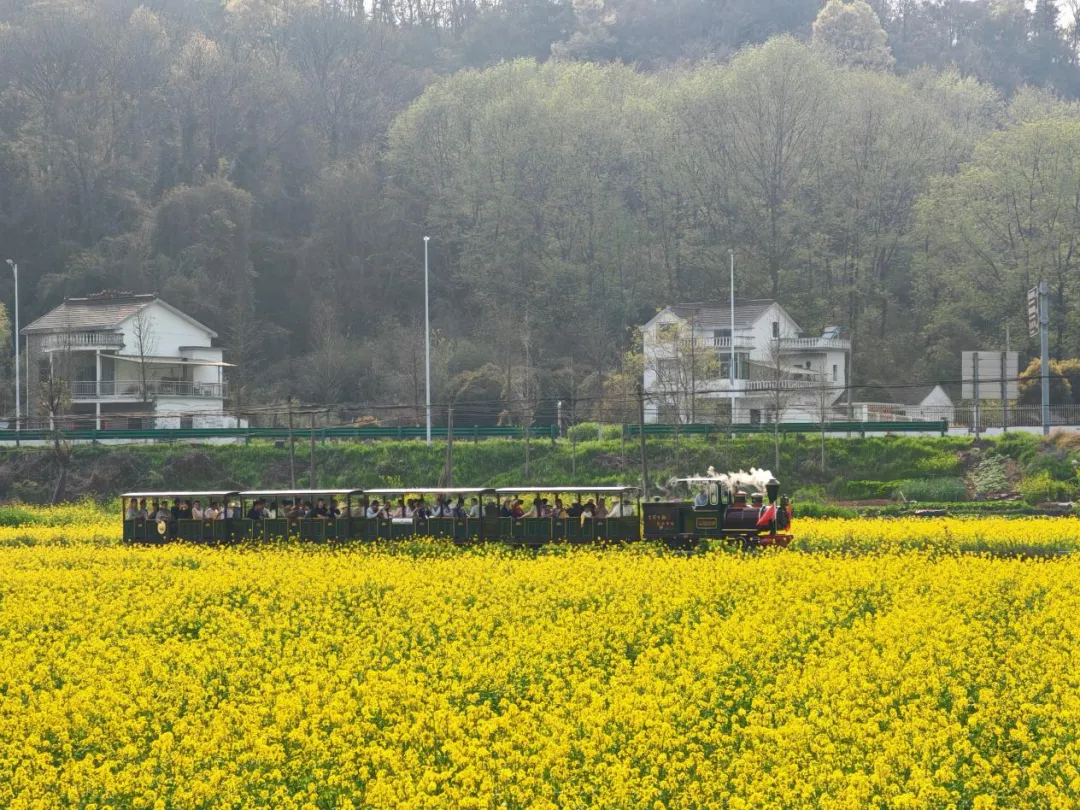 清明春假,繁昌文旅市场“繁”花似锦,人气爆棚! #春游江淮请您来