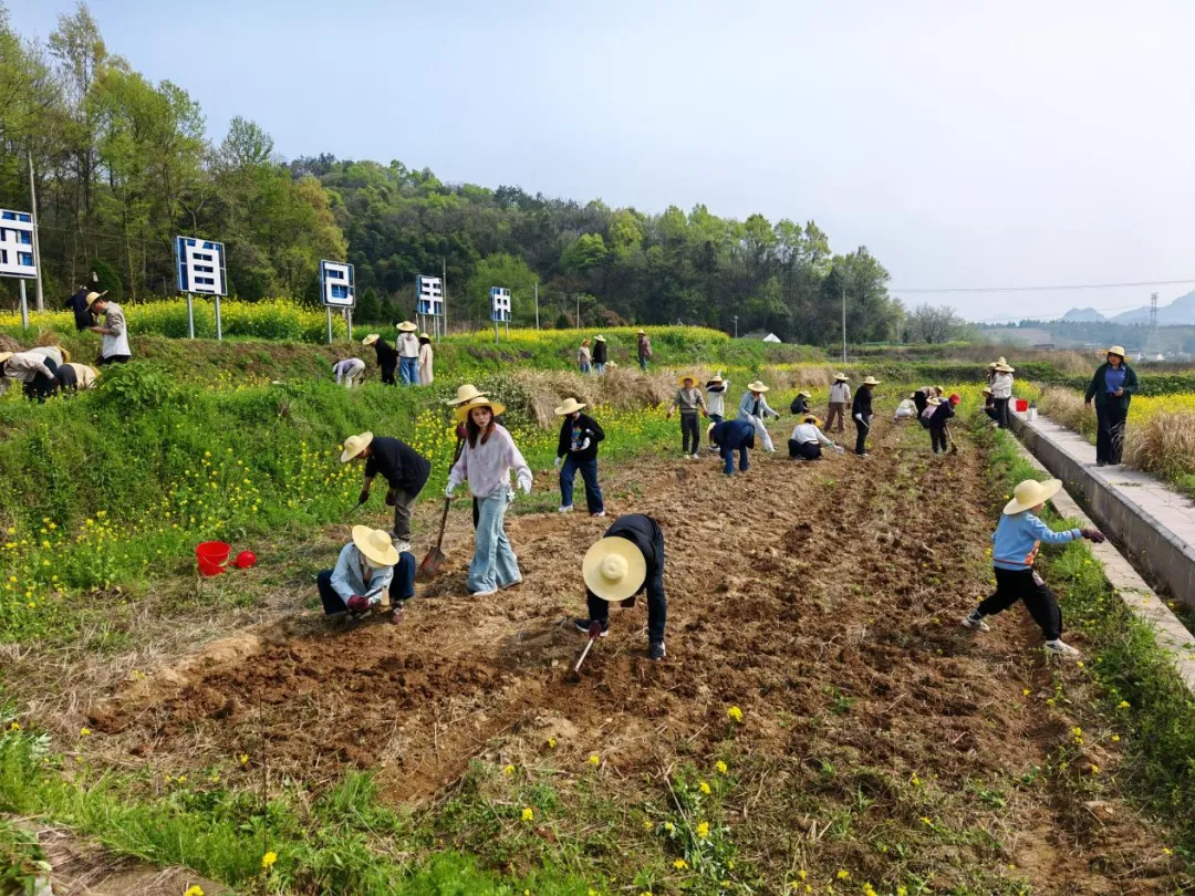 清明春假,繁昌文旅市场“繁”花似锦,人气爆棚! #春游江淮请您来