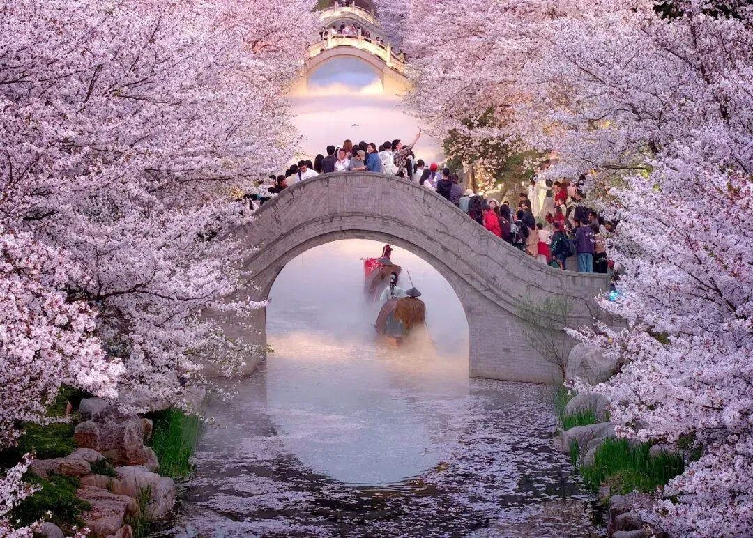 中国消费市场全域回暖