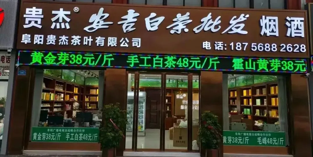 精准发力上海市场 2026阜阳旅游产品发布活动成功举办