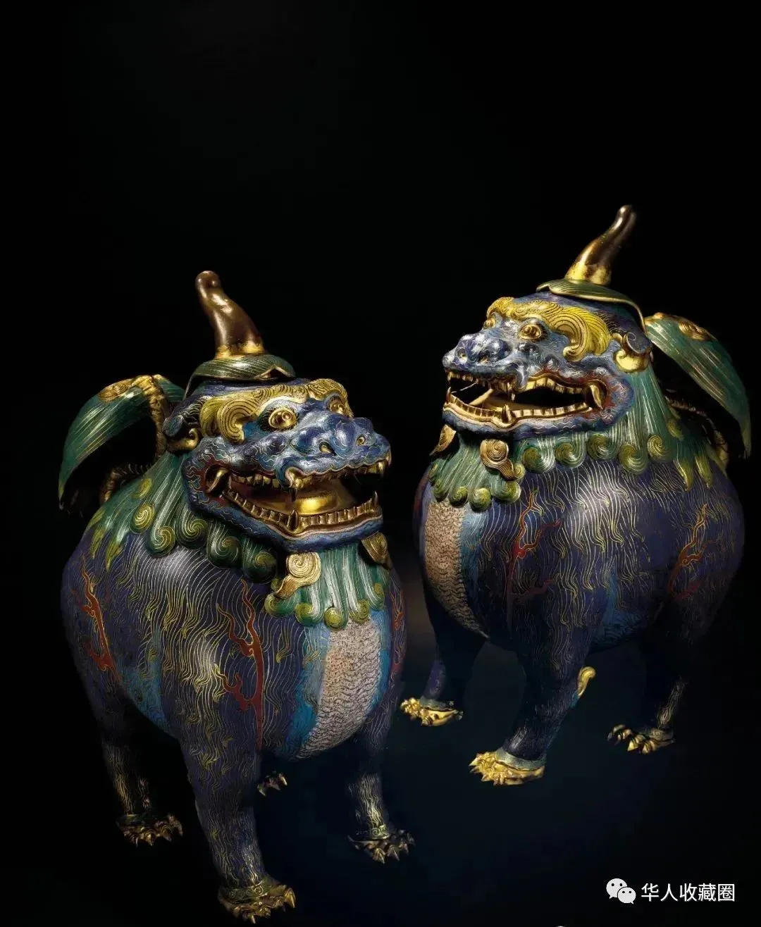 这个被市场热捧的品类,真是太厉害了!