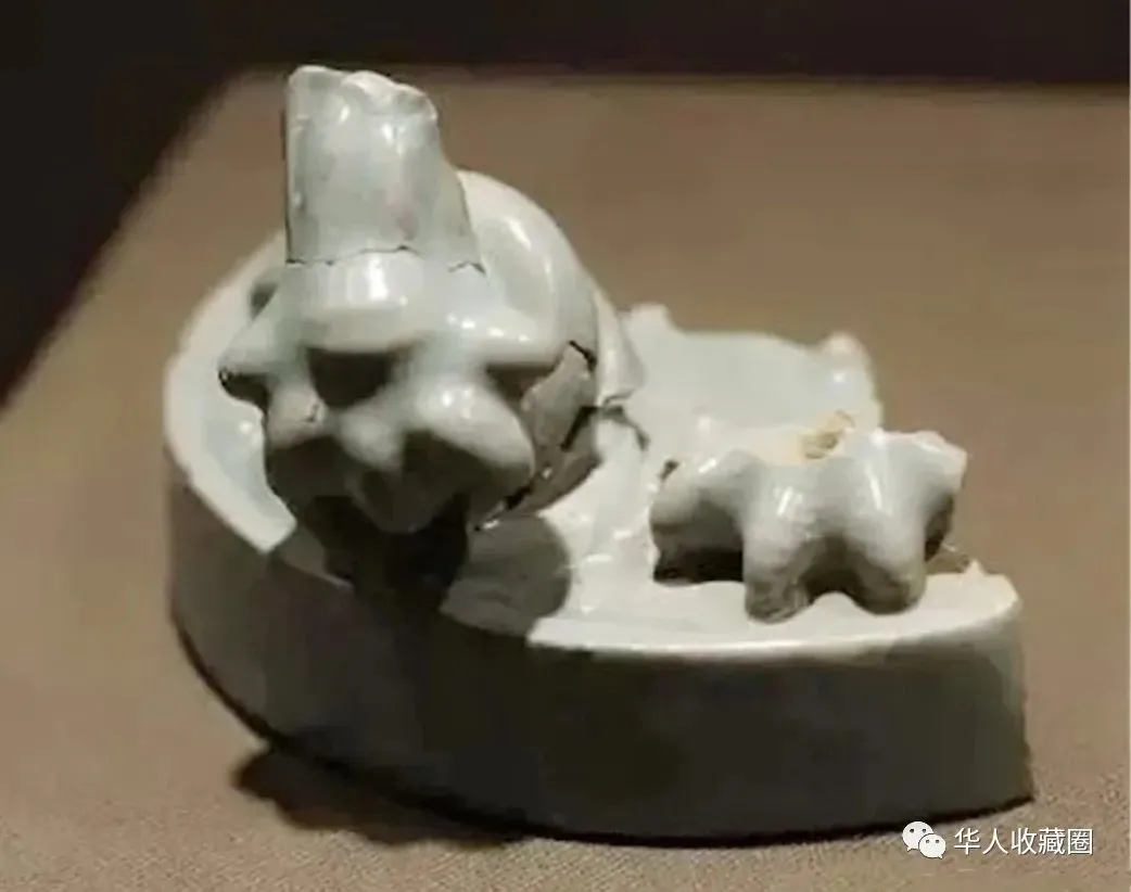 这个被市场热捧的品类,真是太厉害了!