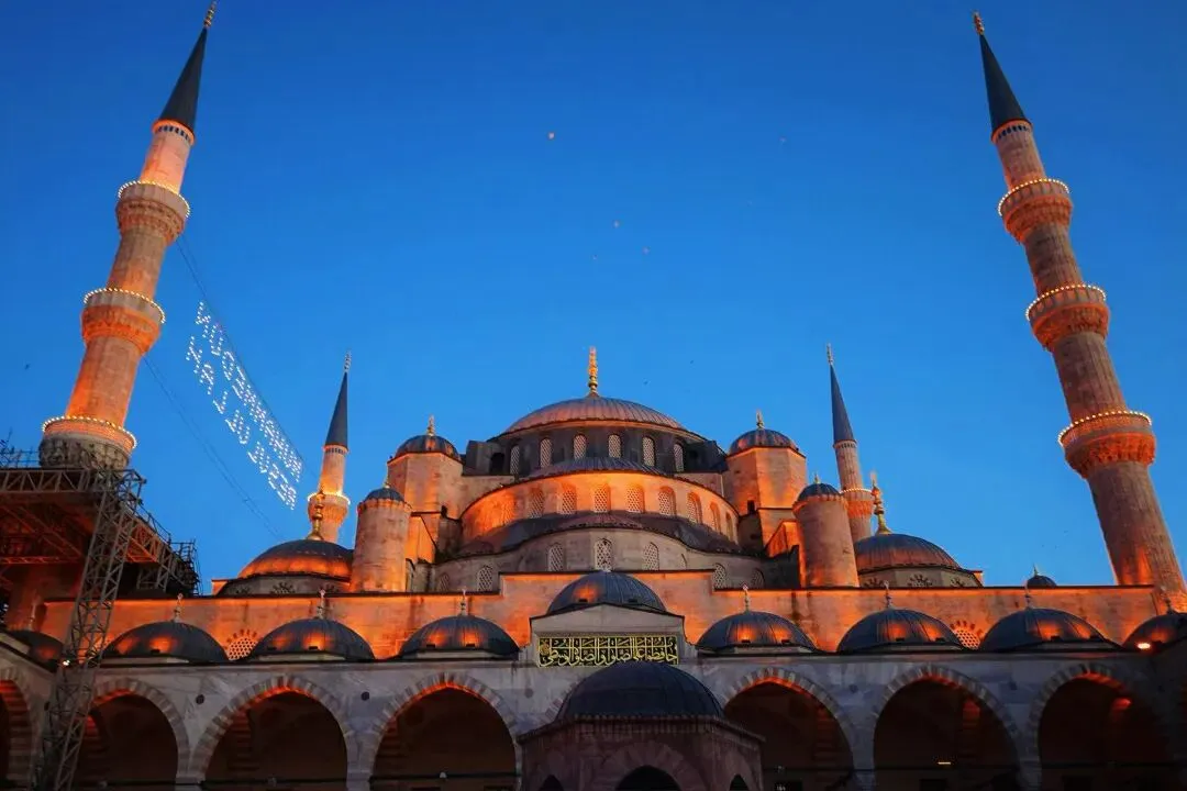 土耳其纸浆模塑行业市场研究报告