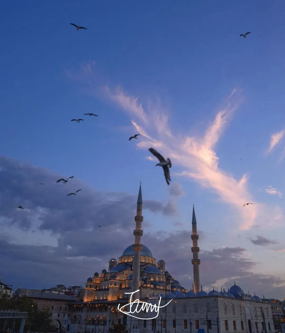 土耳其纸浆模塑行业市场研究报告