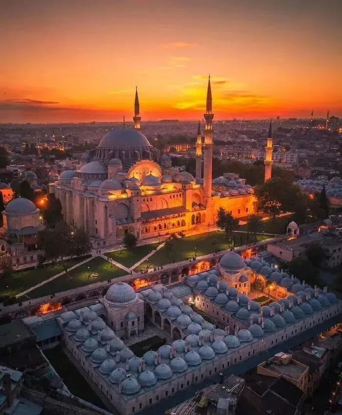 土耳其纸浆模塑行业市场研究报告